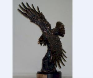 The McWane Eagle soars high in Provo, Utah