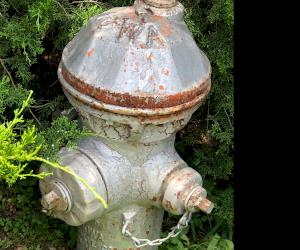 Clow hydrant spotted at Ft. Worth Botanical Gardens